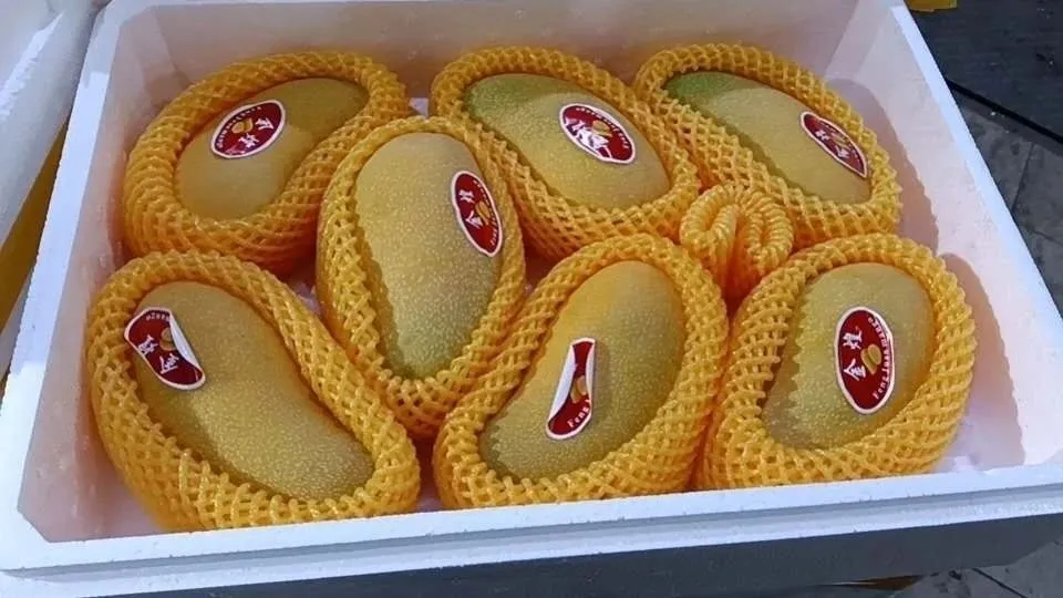 mango